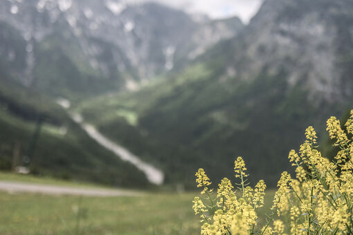 The natural landscape of the Zwölferkopf is a stunning view whatever the weather. 