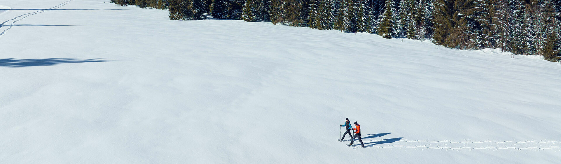 Explore the wintry scenery of the Nature Park Karwendel on snowshoes.