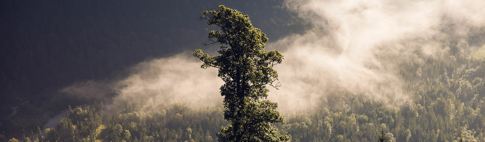 Der Naturpark Karwendel wurde zum "Naturpark des Jahres 2020" gewählt.