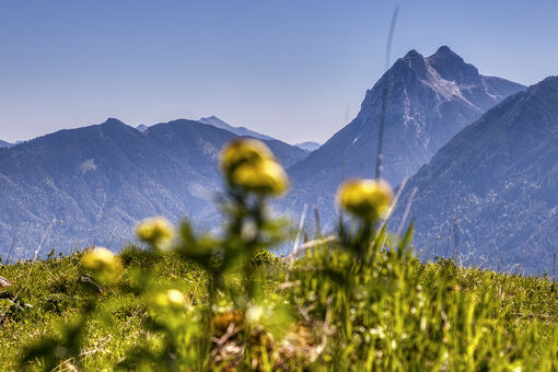 Naturlandschaft am Achensee mit Blick auf den Guffert