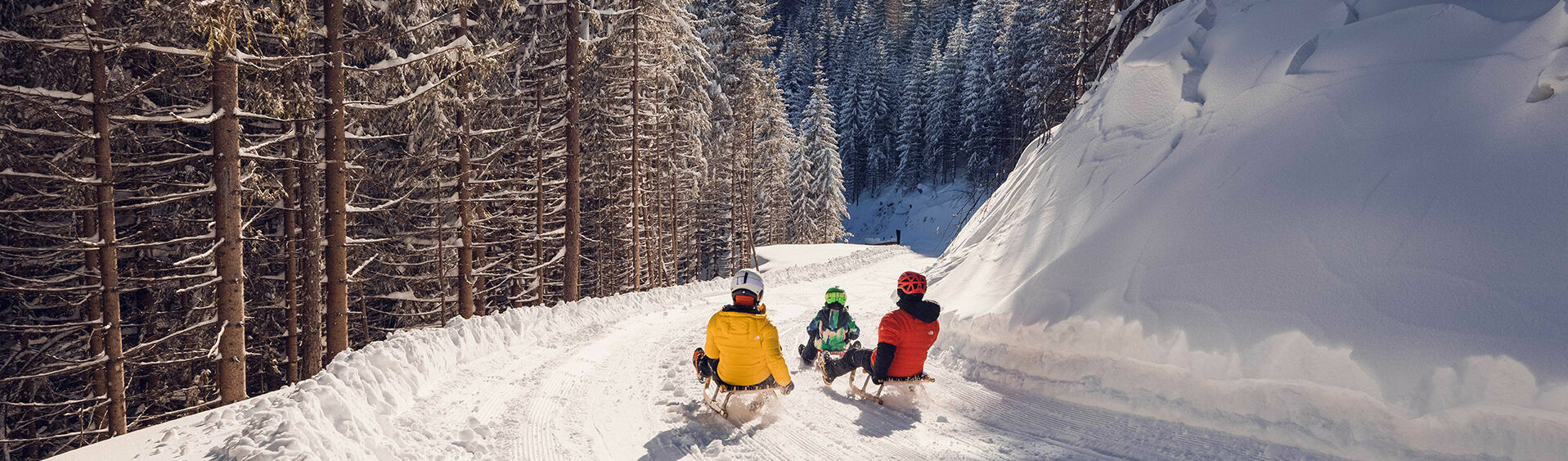 Ein Ausflug auf der Rodelbahn des Zwölferkopfs ist ein herrliches Wintervergnügen für die ganze Familie.