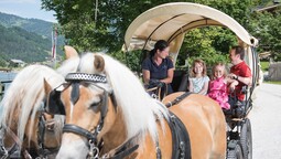 horse-drawn sleigh ride in the surroundings of Achenkirch