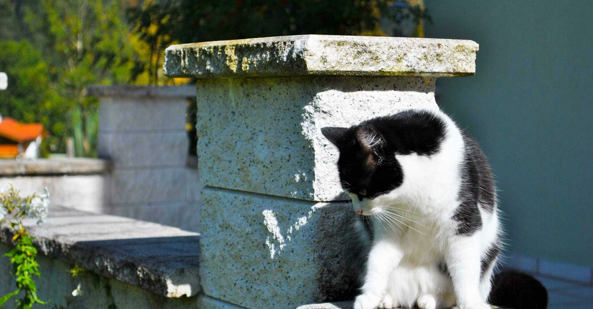 auf-der-Terrasse.jpg