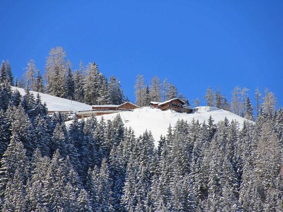 Appartement Koller